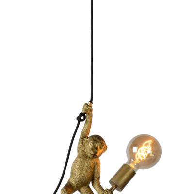 Подвесной светильник Lucide EXTRAVAGANZA CHIMP 10402/01/30