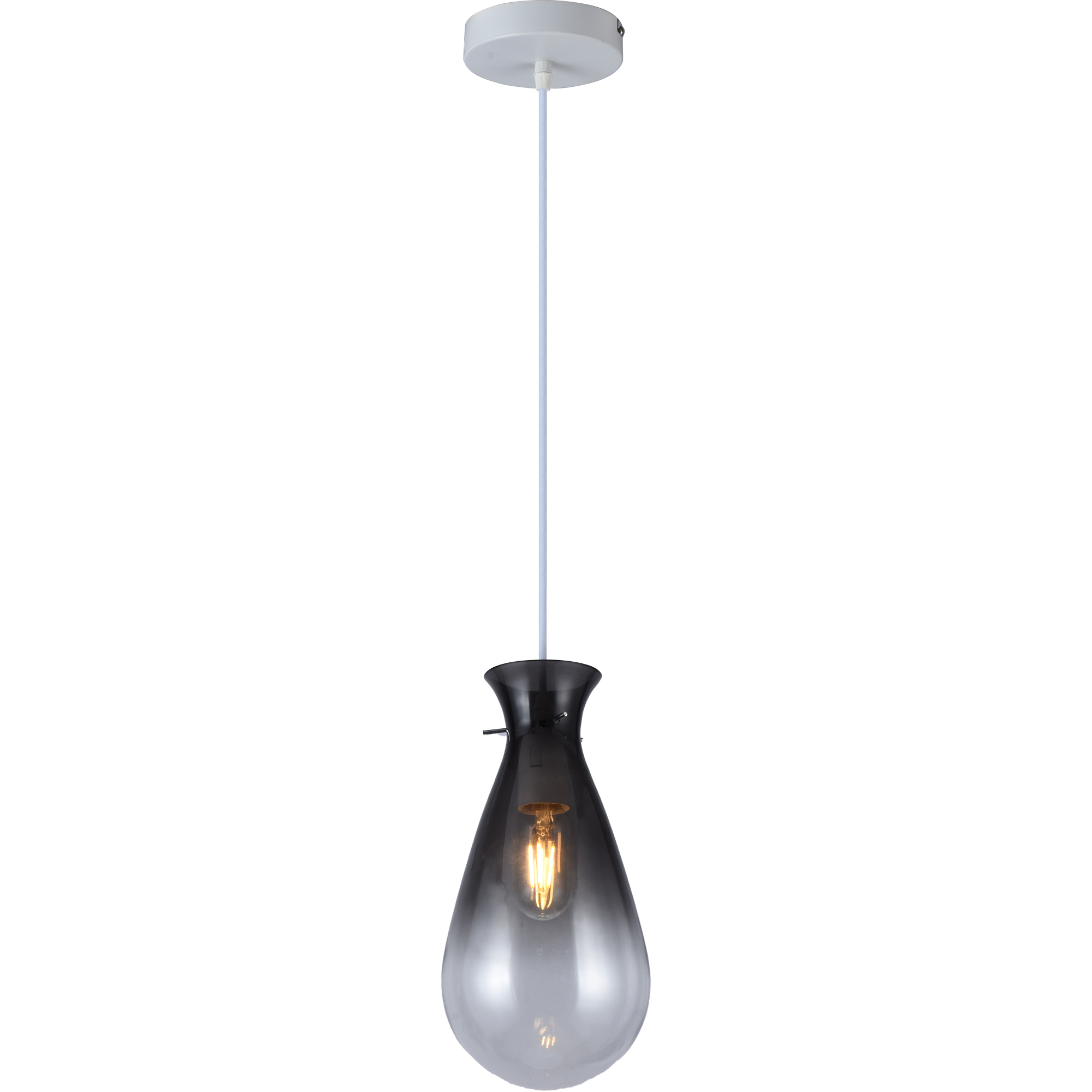 Светильник подвесной Toplight TL1219H-01BS